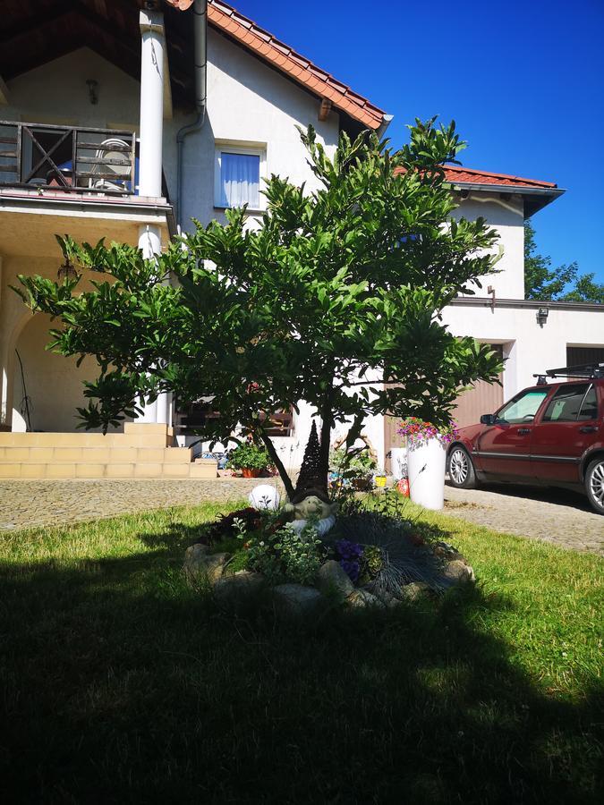 Casa Del Fasa Polanica-Zdrój Exterior foto